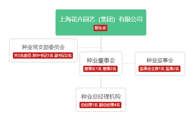 治理结构.png 治理结构.png